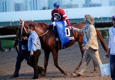 Zia Park Draw Big Names Tuesday: Stakes Analysis, Selections.